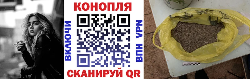 Где купить Кингисепп блэк спрут как зайти  Меф  Гашиш  МАРИХУАНА  МЕТАМФЕТАМИН  Cocaine  СК 