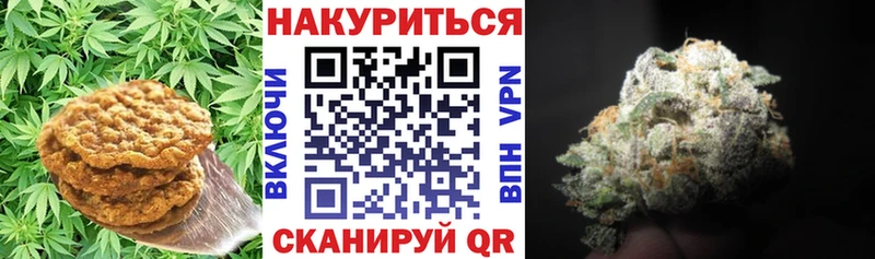 цена наркотик  Кингисепп  Еда ТГК конопля 