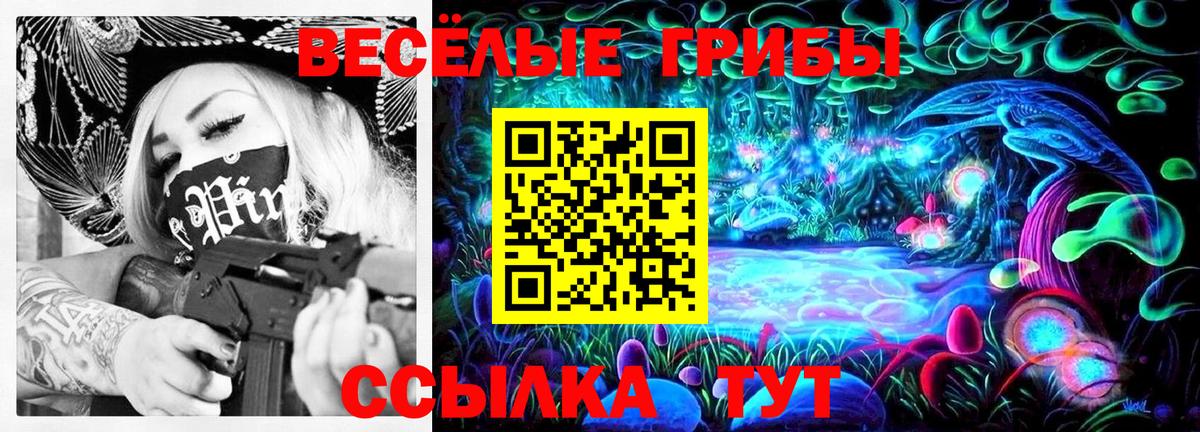 Галлюциногенные грибы Cubensis Кингисепп
