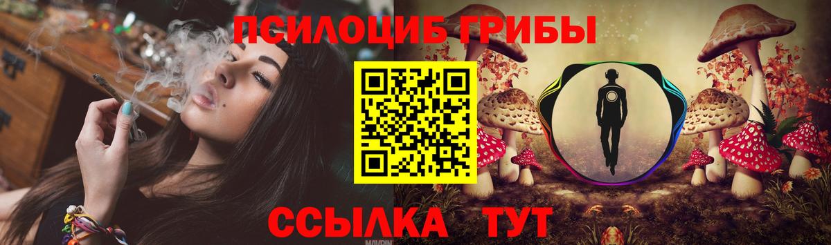 купить наркоту  Вход с VPN  Кингисепп  Галлюциногенные грибы MAGIC MUSHROOMS 